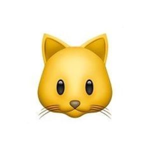 Meet your Posher, Anneliese